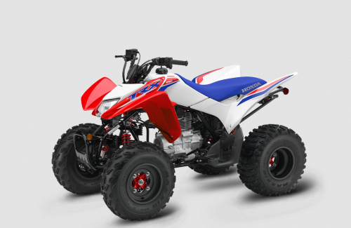 trx250cool